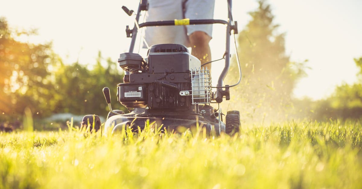 AI Adoption Gap in Lawn Care: 83% of Operators Not Yet Using It